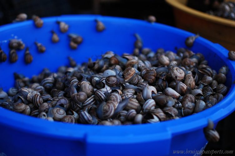 street food of Marrakech