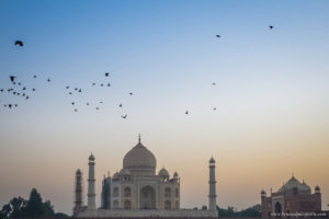 5 BEST ways of photographing the Taj Mahal, Agra - Bruised Passports