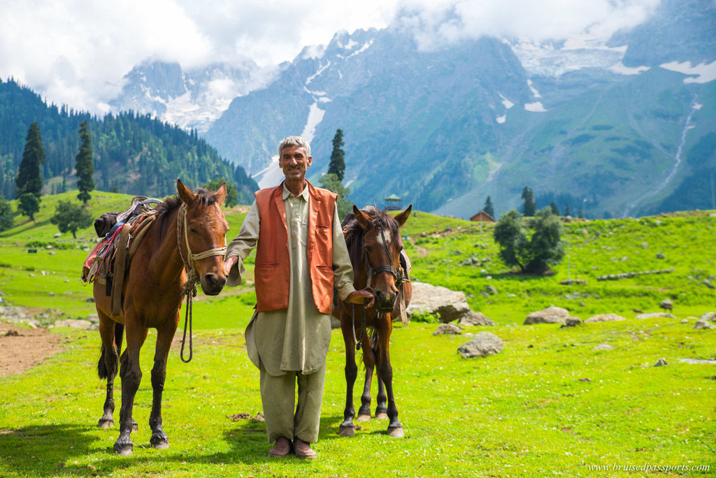 local horses near Srinagar